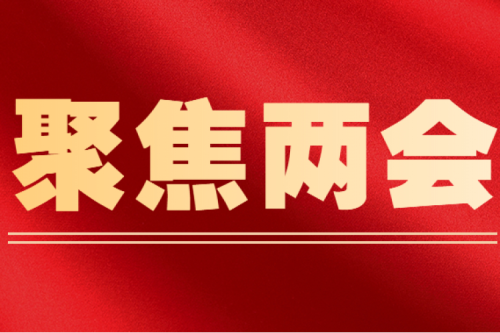 全國(guó)人大代表李寅建議（三）丨盡快解決可再生能源電價(jià)附加補(bǔ)貼拖欠問(wèn)題的建議